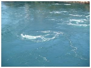 �Ƀm�Y����