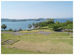 �l�{������