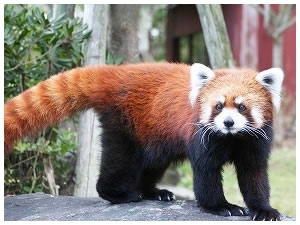 ����o�C�I�p�[�N